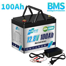 12V 100Ah LiFePO4 Lithium Battery BMS for Solar RV Off-grid Trolling Motor Boat picture