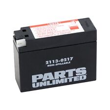 Factory Activated AGM Sealed Battery Parts Unlimited 2113-0217 Replaces YT4B-BS picture