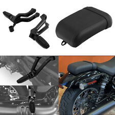 Rear Passenger Seat & Footpegs Fit For Harley Nightster RH975 22-24 RH975S 23-24 picture