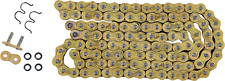 Regina 520 HPE Series Chain 102 Links 135HPE/1000 picture