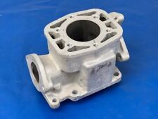 NOS 1977 Arctic Cat Z340 Z-340 Cross Country 340 Snopro Prototype Cylinder Jug  picture