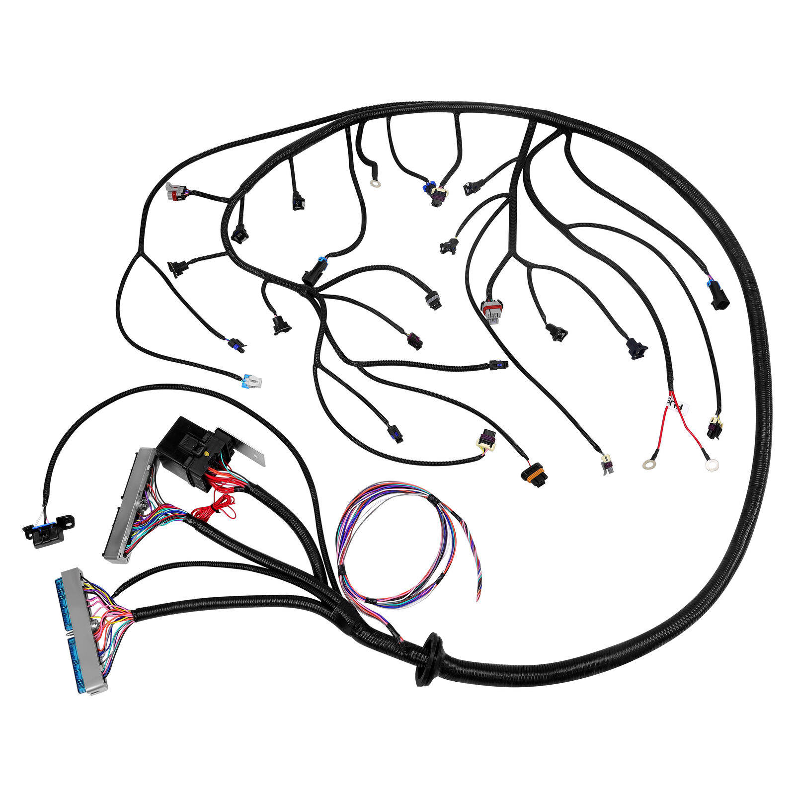 For LS1 97-06 4.8 5.3 6.0 DBC Standalone Wiring Harness T56 or Non-Electric Tran