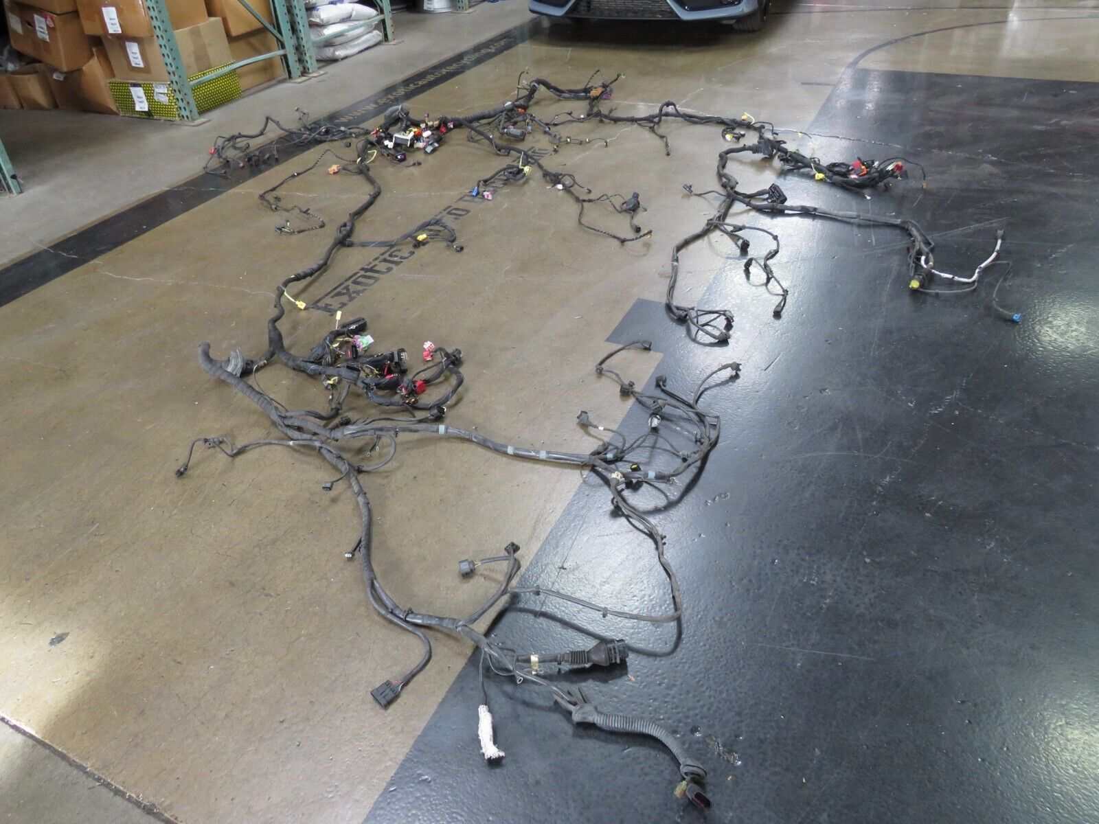 Lamborghini Gallardo, Spyder, Main Body Wire Harness, Dmg, Used, 407971135AS