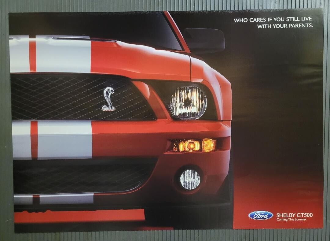 FORD SHELBY GT500 Mustang Who Cares If You Still Live With Your Parents  Poster