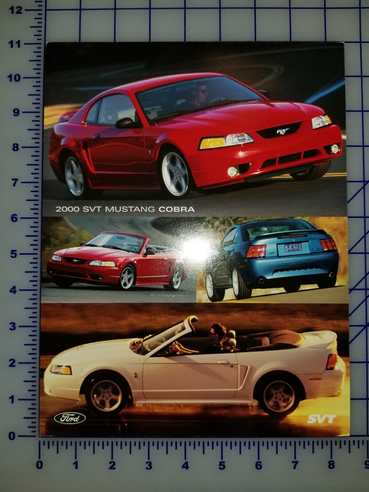 2000 Ford Mustang SVT Cobra Brochure Sheet