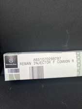 A651070298787 REMAN INJECTOR F FOR MERCEDES BENZ picture