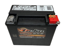 Deka ETX16L Battery - OEM - 12V 19AH 325 CCA AGM picture