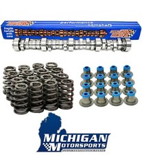 Sloppy Stage 3 Camshaft Kit w/ Michigan Motorsports Valve Springs & Valve Seals picture