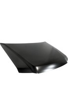 Hood For Ford Escape 2008-2012 picture
