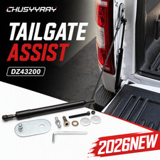 DZ43200 Dee Zee Tailgate Assist for F150 Truck Ford F 150 Lincoln Mark LT 2008 picture