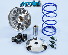 Polini Performance Variator Kit for Yamaha C3, Zuma 50F / Scooter Part picture