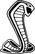 *Winddow Vinyl Decal Sticker for Shelby Mustang GT350 GT500 ford gt White 22” picture