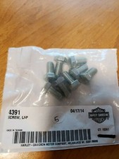 Harley-Davidson Genuine Cap Bolt Screw 5/16