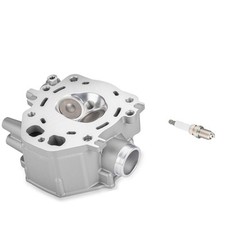 For 2009 2015-2024 Honda TRX420 12200-HP7-A01 Cylinder Head Valves Kit New picture
