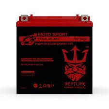 Neptune YTX30L-BS High Performance-Maintenance Free AGM Motorcycle Battery picture