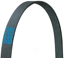 Serpentine Belt  Dayco  5060868 CARQUEST QUIET DESIGN picture