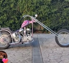 Fred Henandez Harley Chopper Frame 