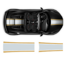 Two Colors Stripes Over The Top, for Audi R8 / R8 Spyder picture