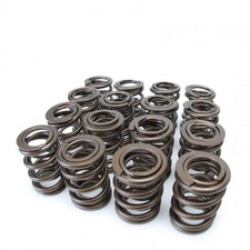 Skunk2 for Alpha Series Valve Spring Set - Honda / Acura K-Series picture