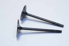 New Lot of 2 OEM Genuine Polaris INTAKE VALVE, STEEL 3022884 Ships FREE picture