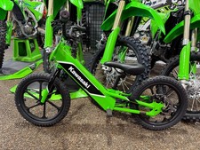 2024 KAWASAKI ELEKTRODE 16 picture