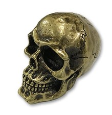 Skull Skeleton Skull Bone Skull Skeleton Brass Brass Shifter Shift Knob picture