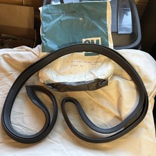 NOS New OEM GM 1650296 DOOR WEATHERSTRIPPING 75-79 CHEVY II / NOVA RH 2 Door picture