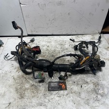 10-13 Harley Touring Electra Street Glide OEM Fairing Interconnect Harness Loom  picture