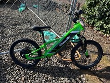 2024 KAWASAKI Elektrode® 20 - Lime Green picture