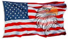 Waving American Flag Eagle Head Decal picture