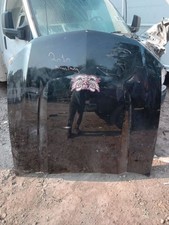 Hood Excluding Shelby GT 500 Without Hood Scoop Fits 10-12 MUSTANG 207073 picture