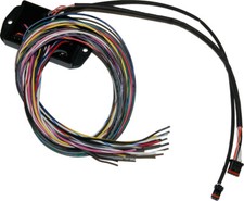 Namz NCBC-B01 Can-Bus Controller 2014 - 2025 Harley Bagger Brand NEW Made In USA picture