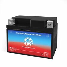 GS Battery GT4L-BS Powersports Replacement Battery picture
