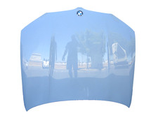 dp60780 BMW G01 X3 2018 2020 2021 2022 23 2024 FRONT HOOD BONNET PANEL ORIGINAL picture