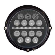 Eagle Lights 5.75