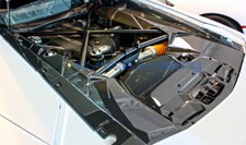 Lamborghini Aventador Roadster Carbon Fiber Engine Bay Cover Panels USA NEW picture
