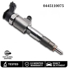 0445110075 96386523 Common Rail Diesel Fuel Injector for Citroen Peugeot picture