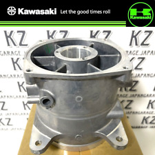 Kawasaki Genuine STX-15F 04-19  VANE-GUIDE 59496-0001 NEW picture