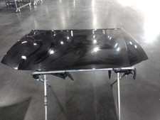Hood Excluding SRT8 Fits 06-10 CHARGER 623544 picture