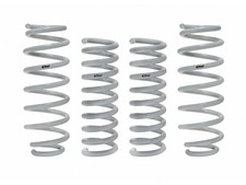 Eibach Drag Launch Springs charger challenger  picture