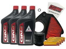 Cyclemax 10W-40 Tune-Up Kit fits 1999-2007 Honda VT 600 VT600 Shadow VLX w/Plugs picture