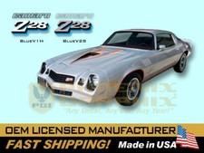 1978 Chevrolet Camaro Z28 Decals & Stripes Kit picture