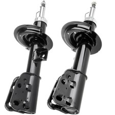 PICKOOR Front Pair Shock Absorber and Strut Assembly For Chevrolet Equinox picture