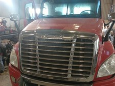 2008-2018 Freightliner Cascadia 125 Hood Assembly (11500050 picture