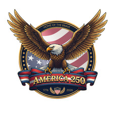 🇺🇲🦅AMERICA 250 EAGLE Badge  Vinyl Decal Sticker 2