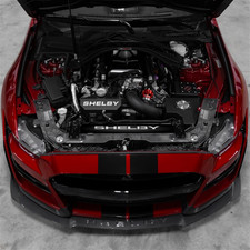 2016-2022 Shelby GT500 / GT350 Mustang Radiator Plate Cover picture