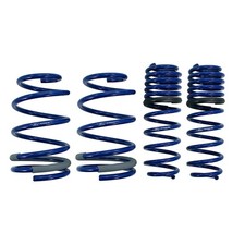 Ford Racing Lowering Spring Track 1