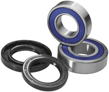All Balls 25-1389 Wheel Bearing and Seal Kit picture