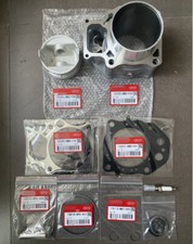 NEW Top End Rebuild Kit Cylinder Piston For 2015-2020 SXS500M2 Pioneer 500 picture