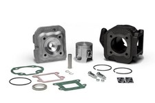 Thermal Group Ø 47 In Cast Iron With Pin Ø 10 - Malossi 317237 For Scooter picture